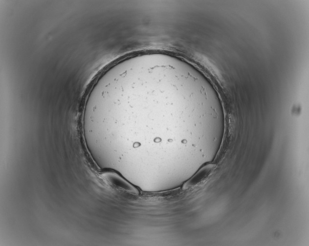 X0000090711260200708101457