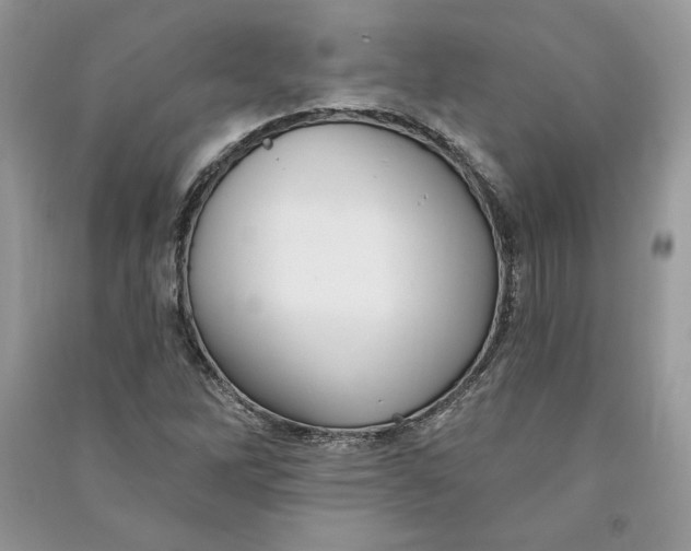 X0000090711262200708101457