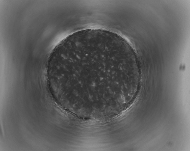 X0000090711263200708101457