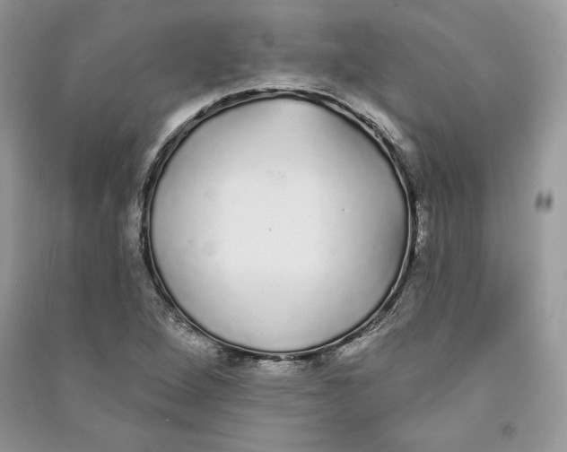 X0000090711264200708101457