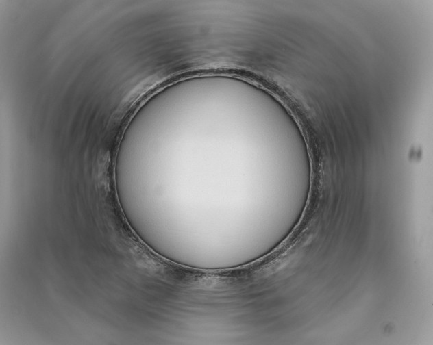 X0000090711265200708101457