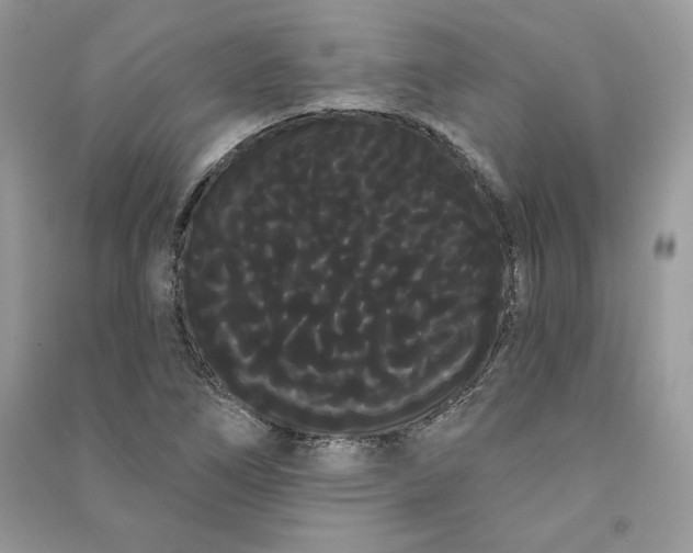 X0000090711266200708101457