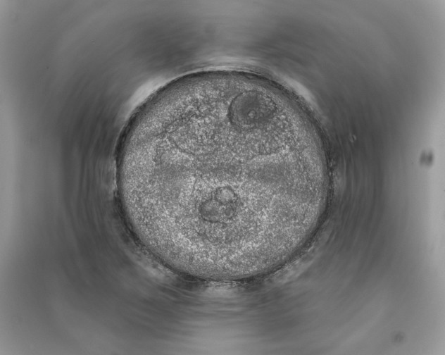 X0000090711267200708101457