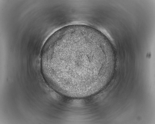 X0000090711268200708101457