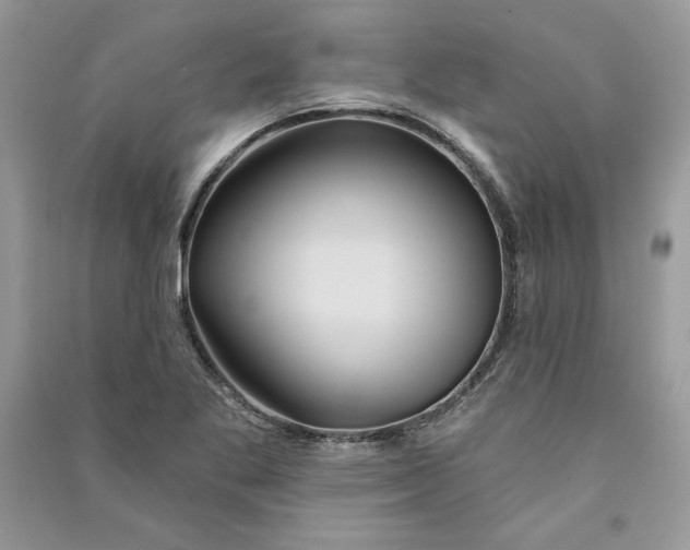 X0000090711269200708101457