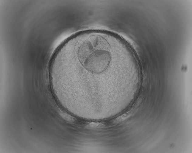 X0000090711271200708101457