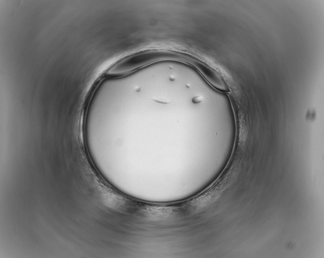 X0000090711272200708101457