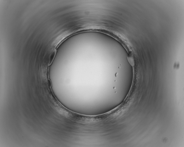 X0000090711273200708101457