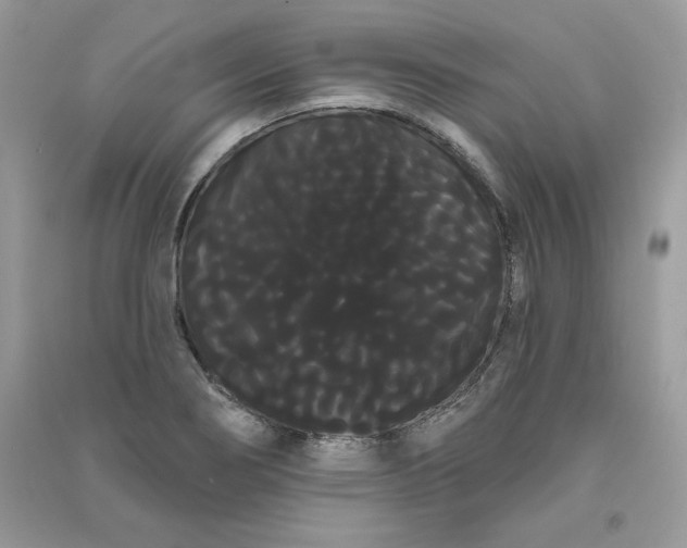 X0000090711274200708101457