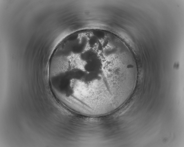 X0000090711275200708101457