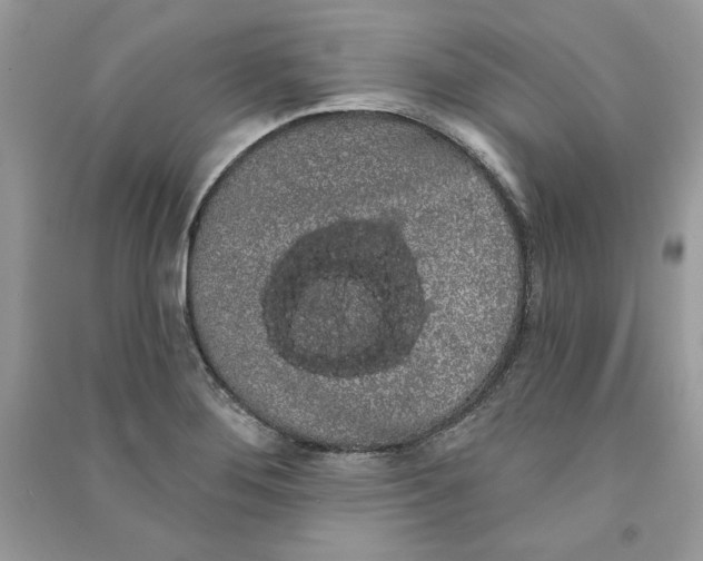 X0000090711276200708101457