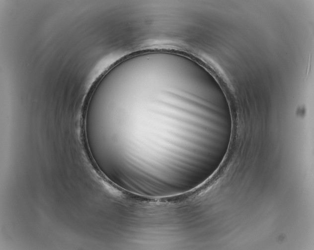 X0000090711277200708101457