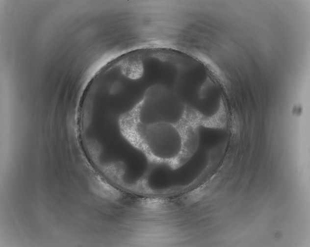 X0000090711278200708101457