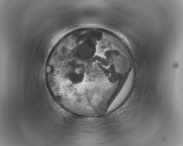 X0000090711279200708101457