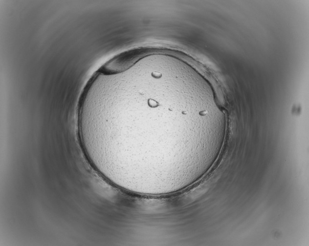 X0000090711280200708101457