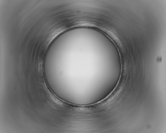 X0000090711281200708101457