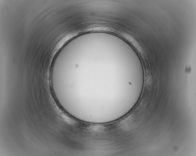 X0000090711282200708101457