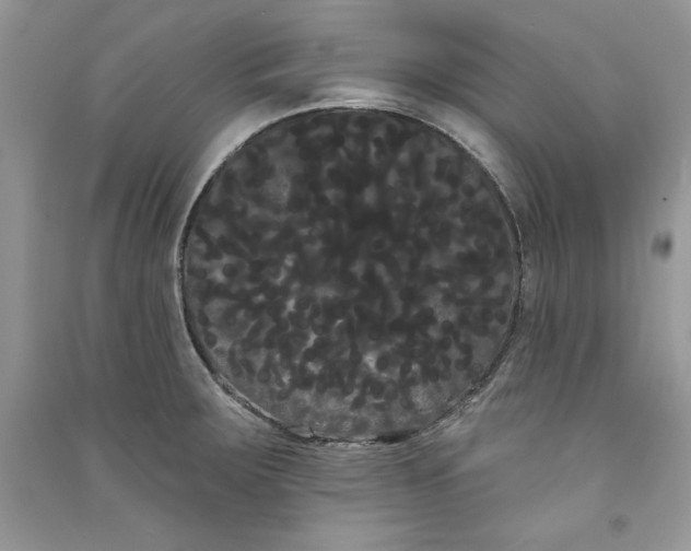 X0000090711283200708101457