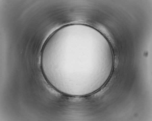 X0000090711284200708101457