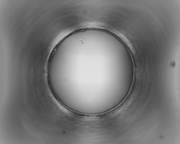 X0000090711285200708101457