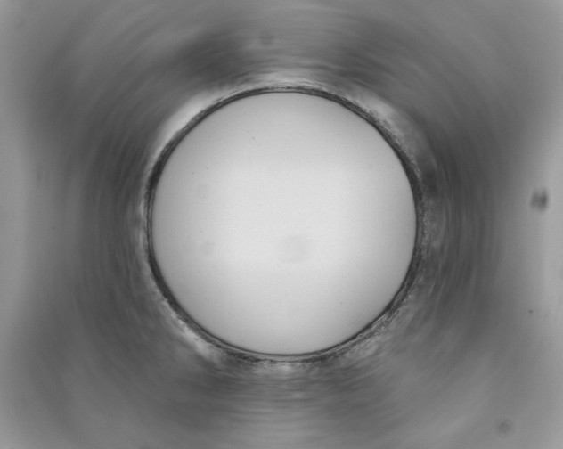 X0000090711286200708101457