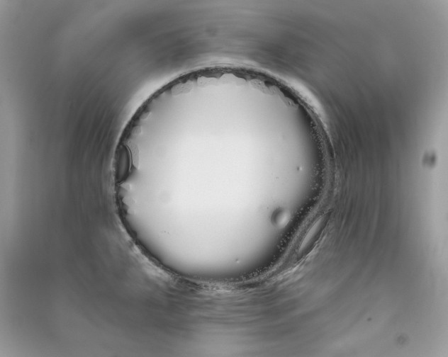 X0000090711287200708101457