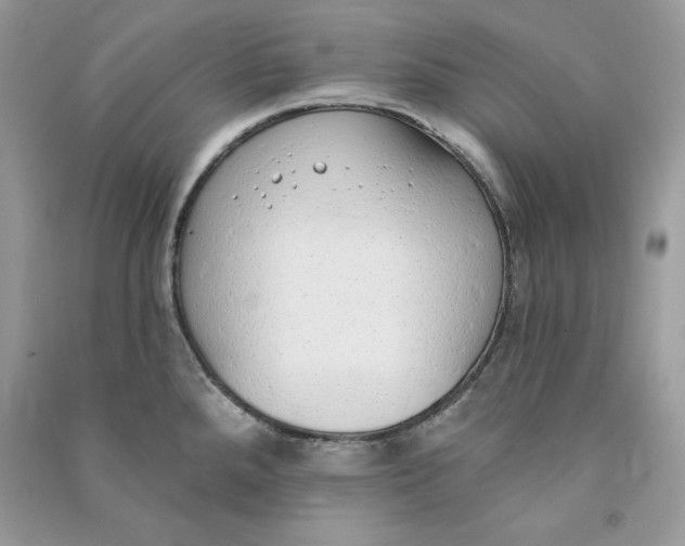 X0000090711288200708101457