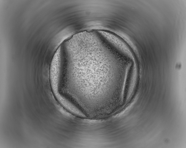 X0000090711289200708101457