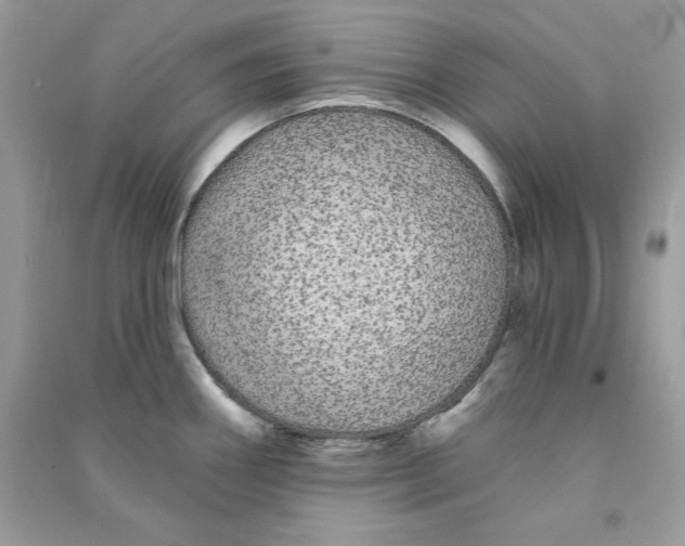 X0000090711290200708101457