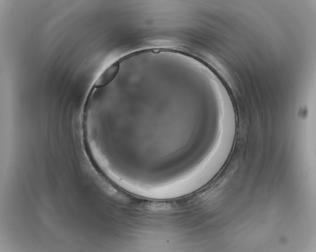 X0000090711291200708101457