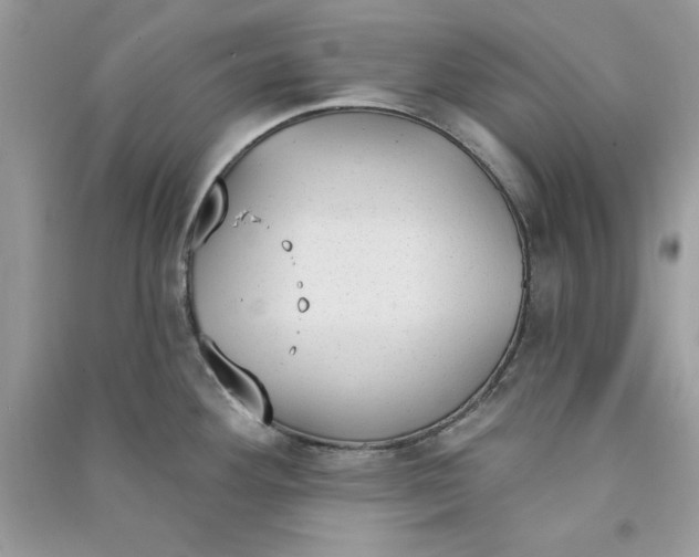 X0000090711292200708101457