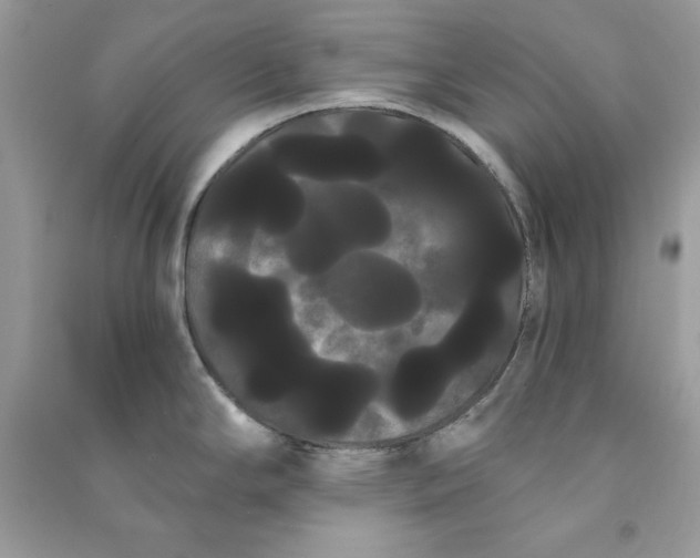 X0000090711294200708101457