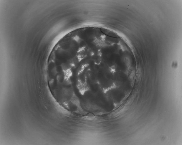 X0000090711295200708101457