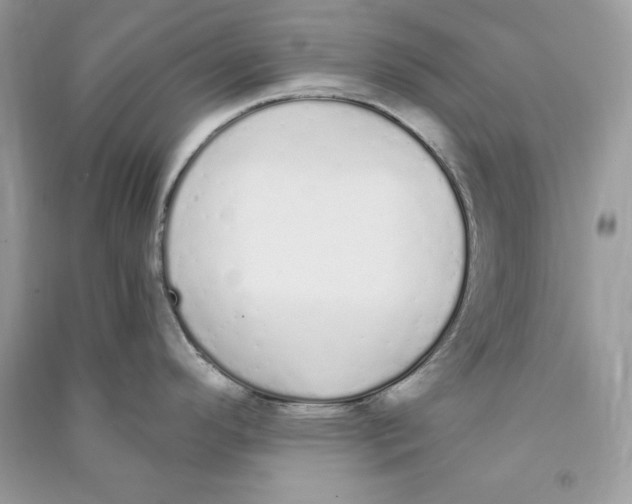 X0000090711296200708101457