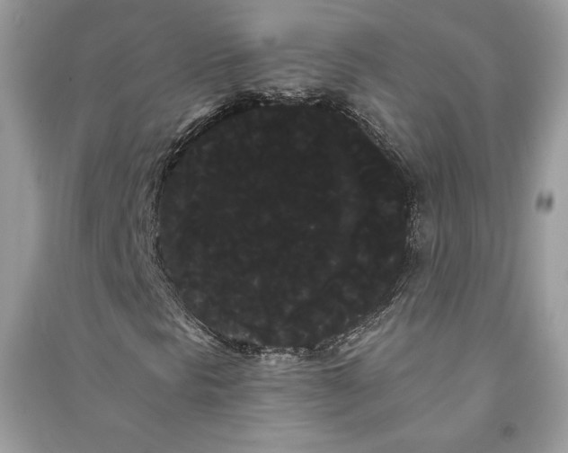 X0000090711297200708101456