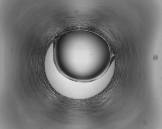 X0000090711298200708101456