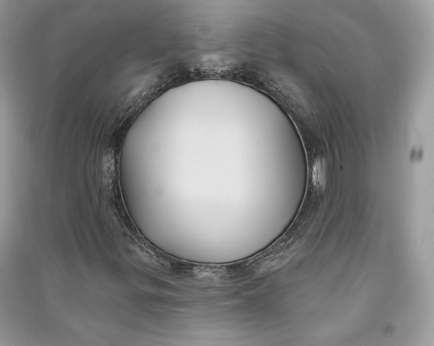 X0000090711299200708101456