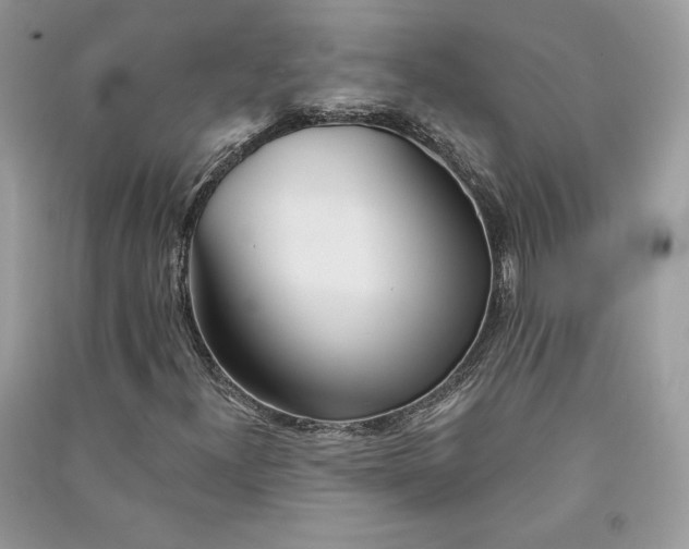 X0000090711300200708101456