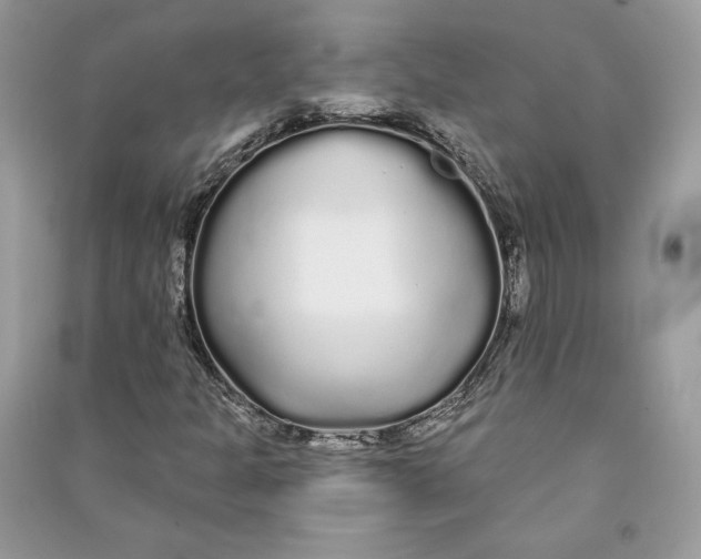 X0000090711301200708101456