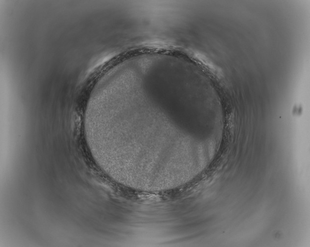 X0000090711302200708101456