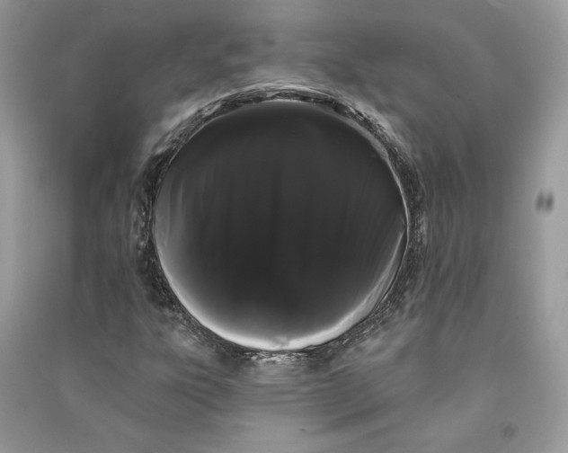 X0000090711303200708101456