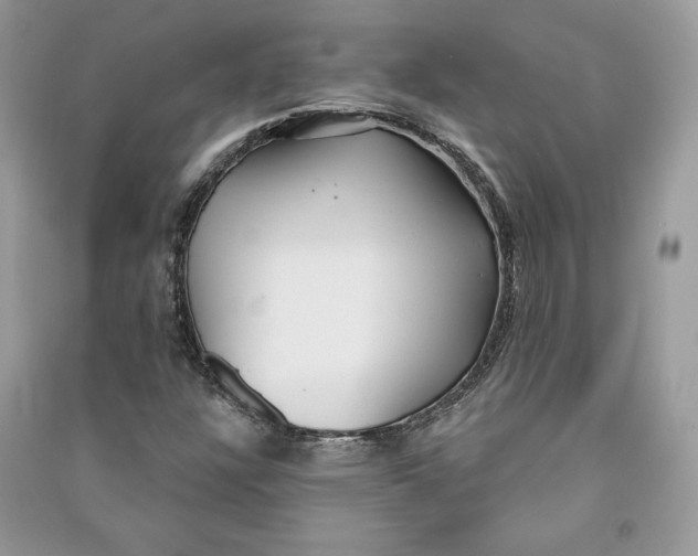 X0000090711304200708101456