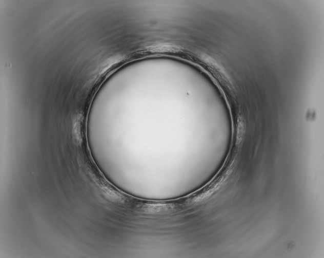 X0000090711305200708101456