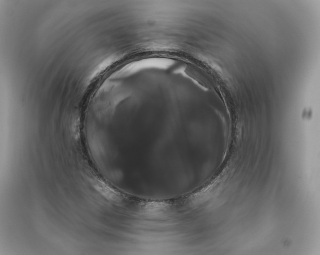 X0000090711306200708101456