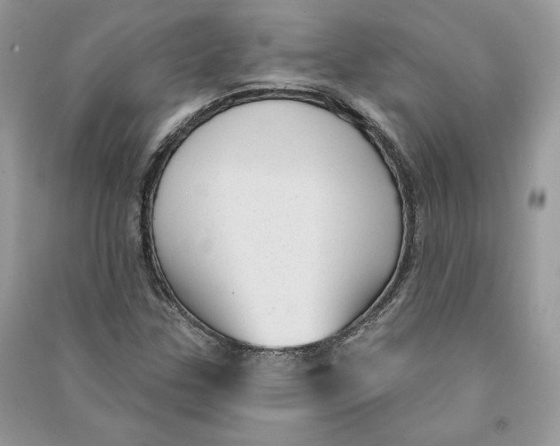 X0000090711307200708101456