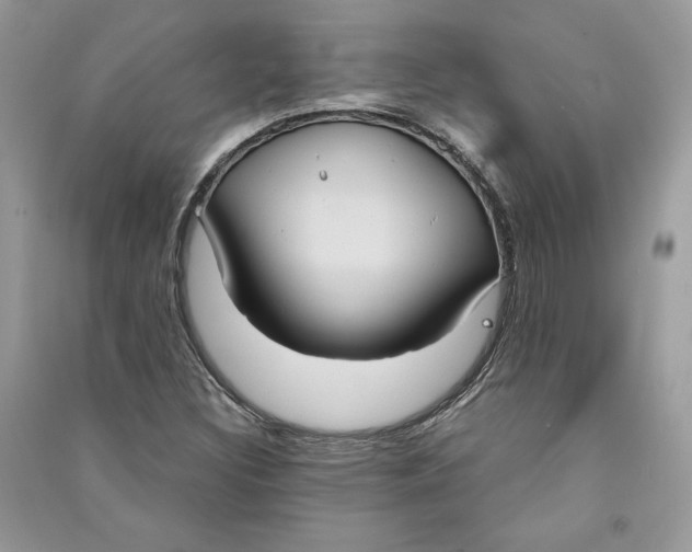 X0000090711308200708101456