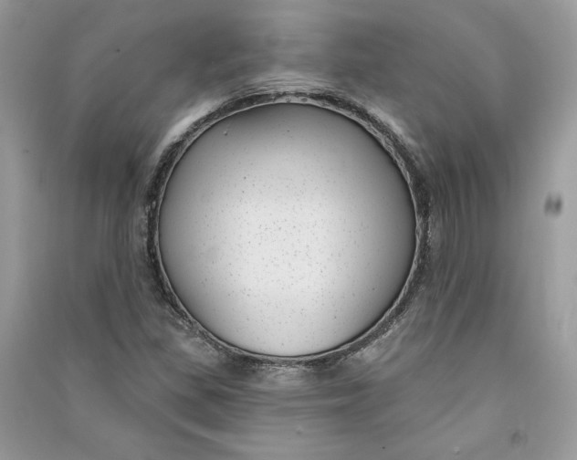 X0000090711309200708101456