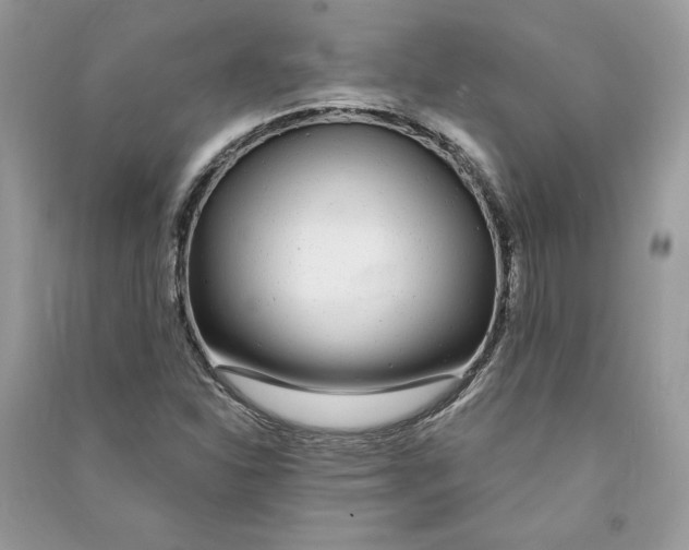 X0000090711310200708101456