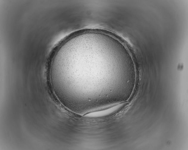 X0000090711311200708101456