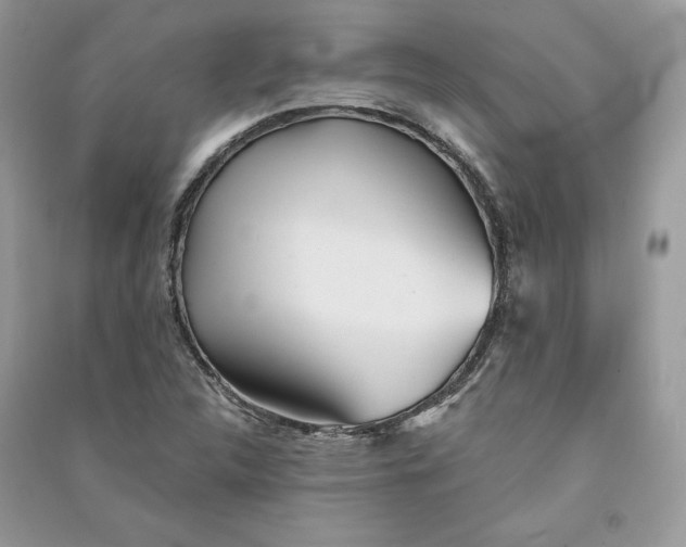 X0000090711312200708101456